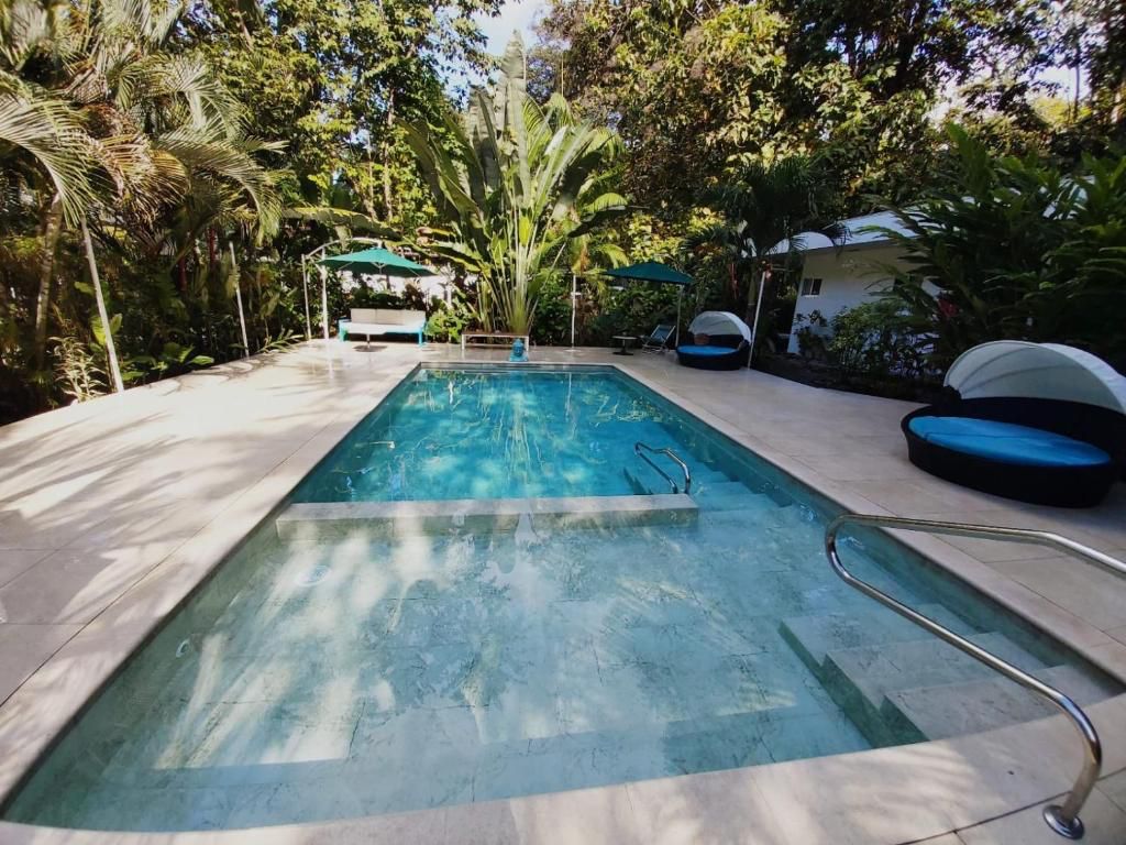 pool builder, quepos design, sun shelf